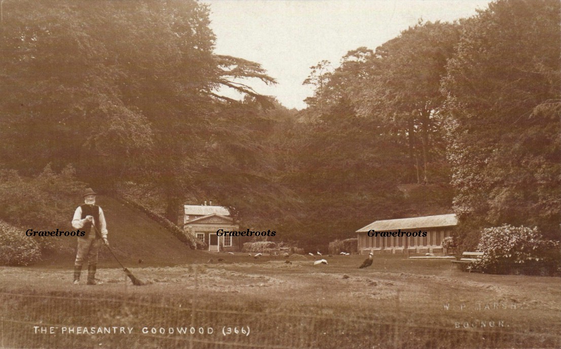 Old photos of Chichester - click to return