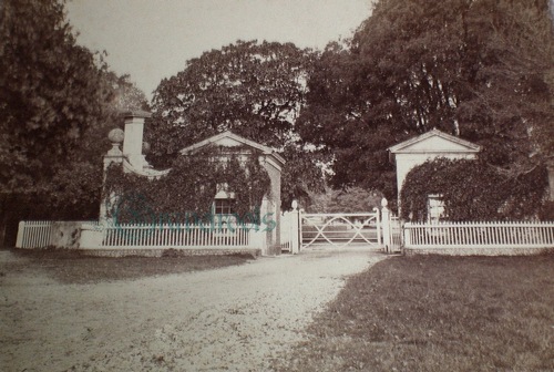 old Goodwood