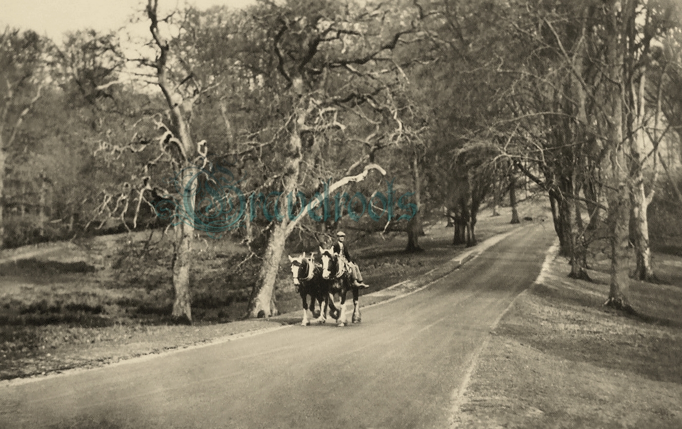  old photo of Goodwood, Chichester, Sussex - click image to return
