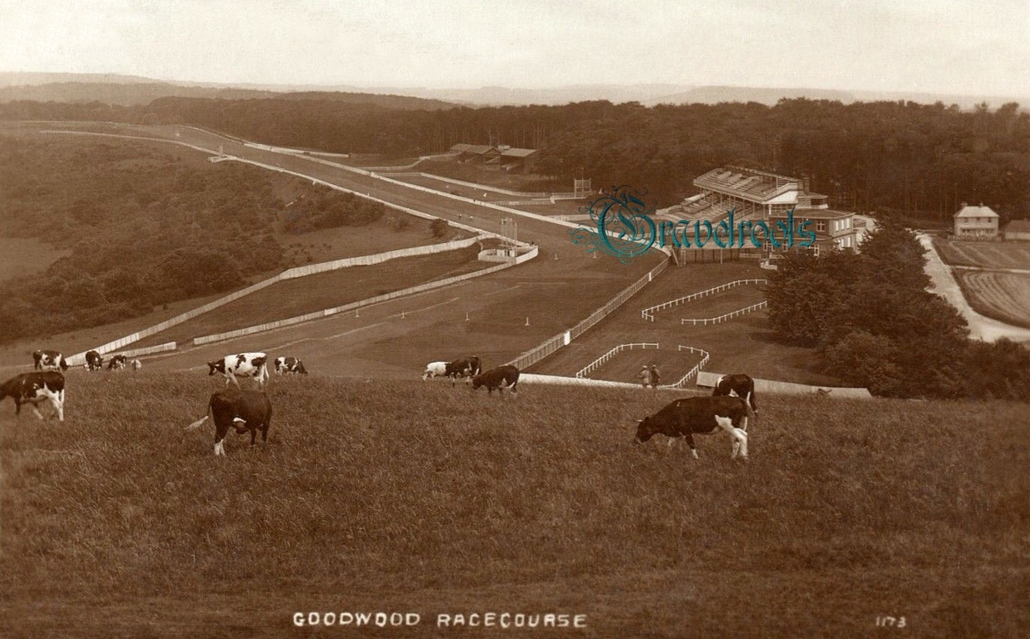  old photo of Goodwood Horse Racecourse, Chichester, Sussex - click image to return
