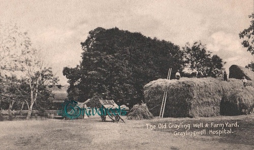 Graylingwell Farm