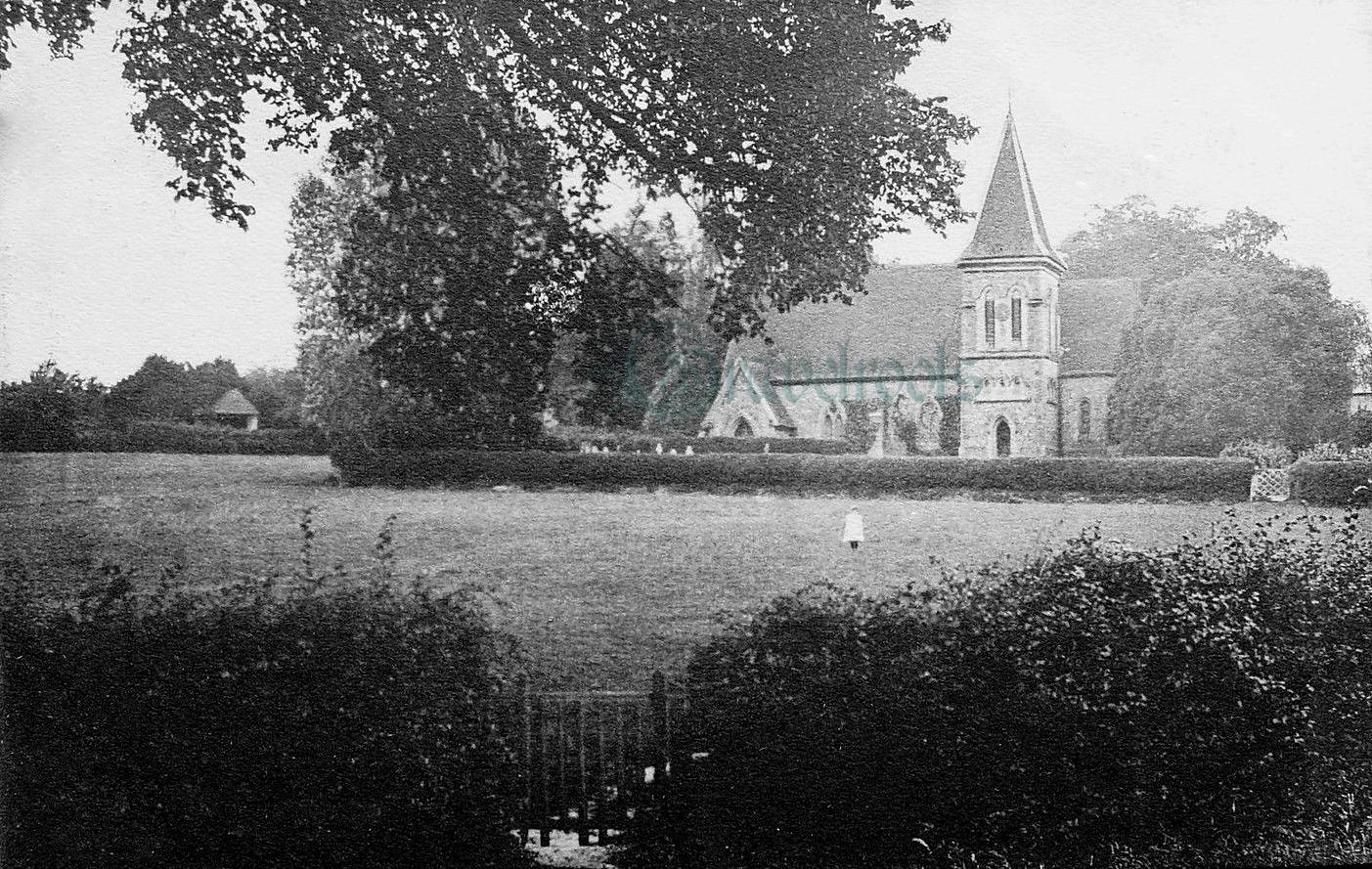Duncton - click image below to return