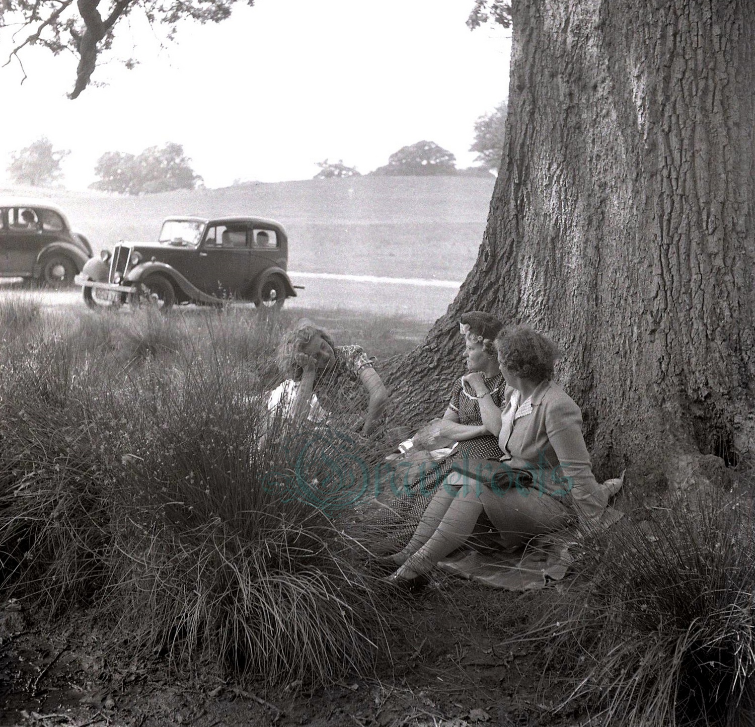 Benbow Pond, Easebourne, Sussex - original photo, Donald Trezise, 1949 - click image to return