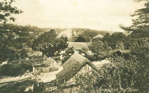 Fernhurst