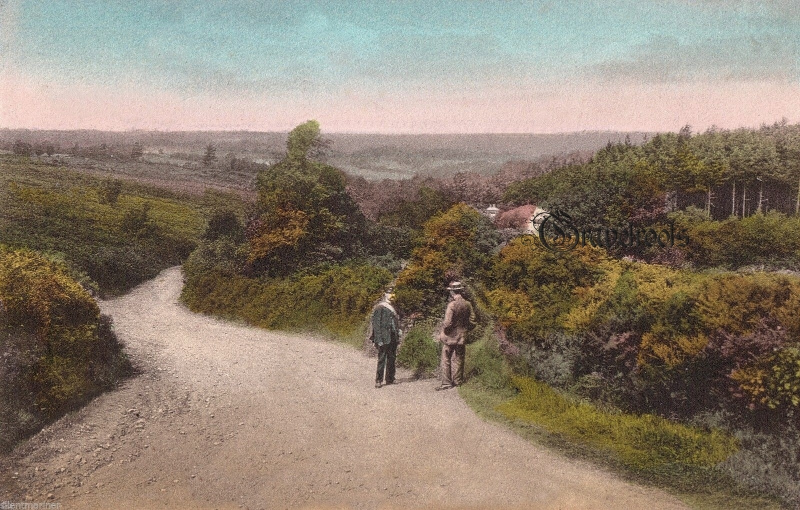 Marley Heights, Fernhurst, Sussex 1910 - click to return