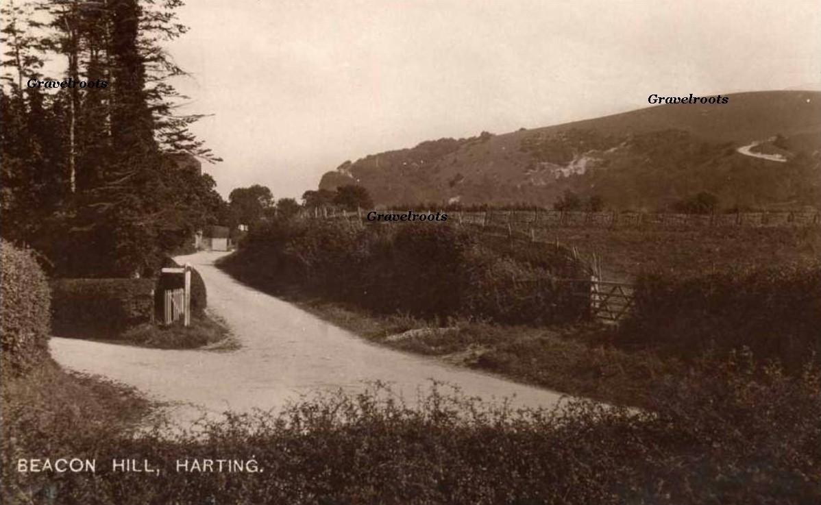 Beacon Hill, Harting, Sussex - click to return