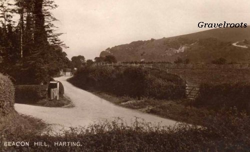Harting