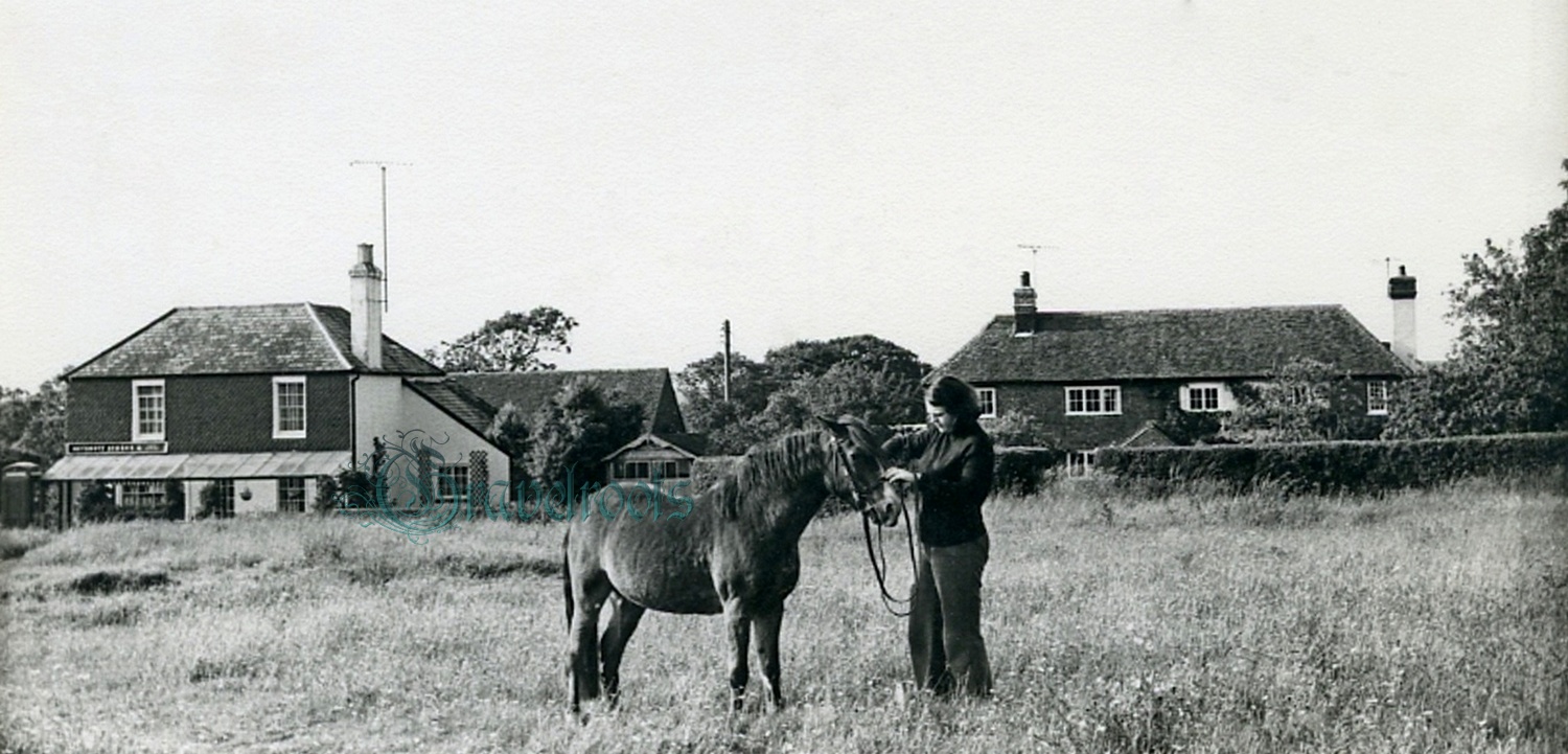  old photo of The Green & Stores, Heyshott, Sussex - click image to return