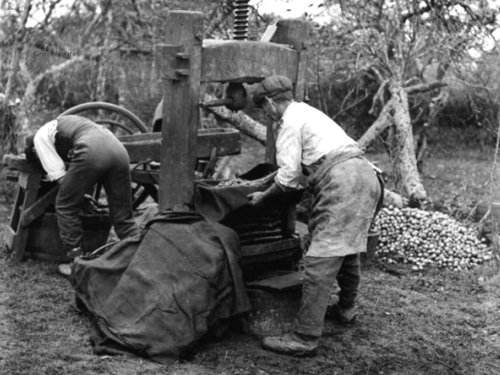 Lickfold Cider press