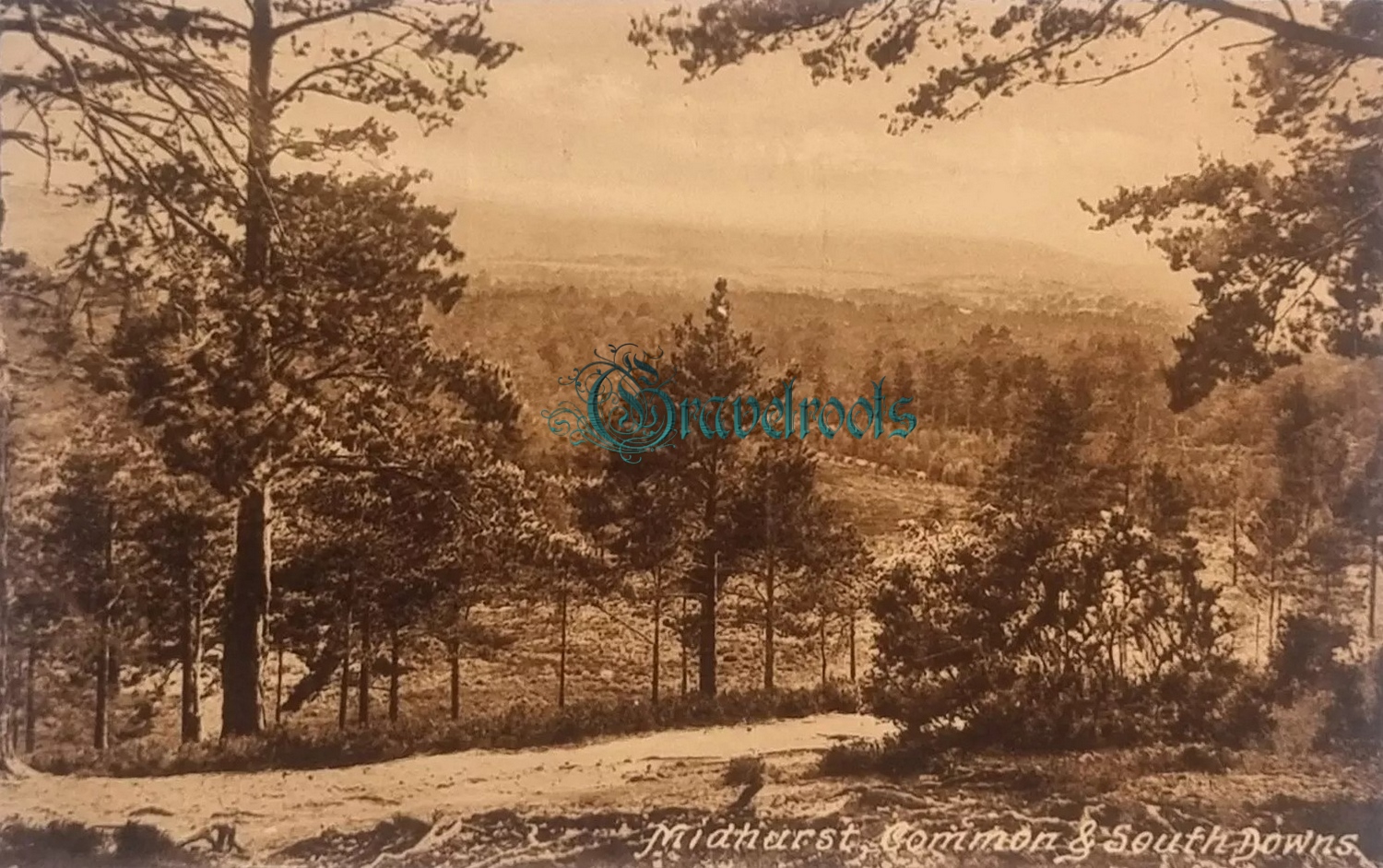 Midhurst -  - click image below to return to album