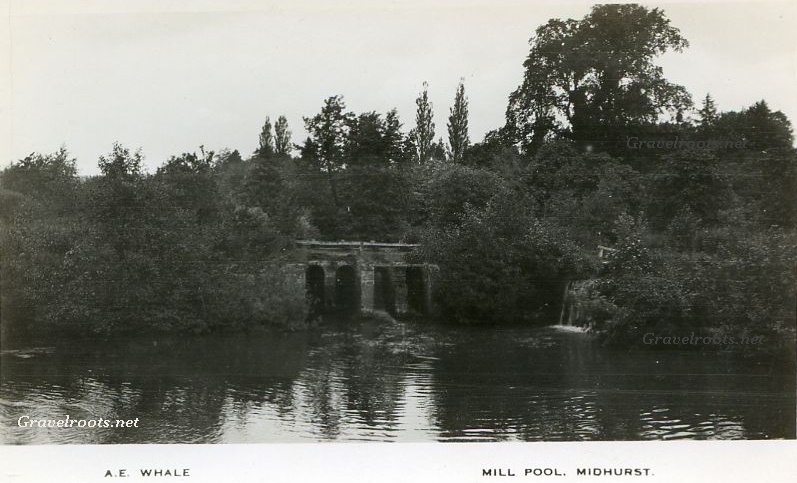 click image to return