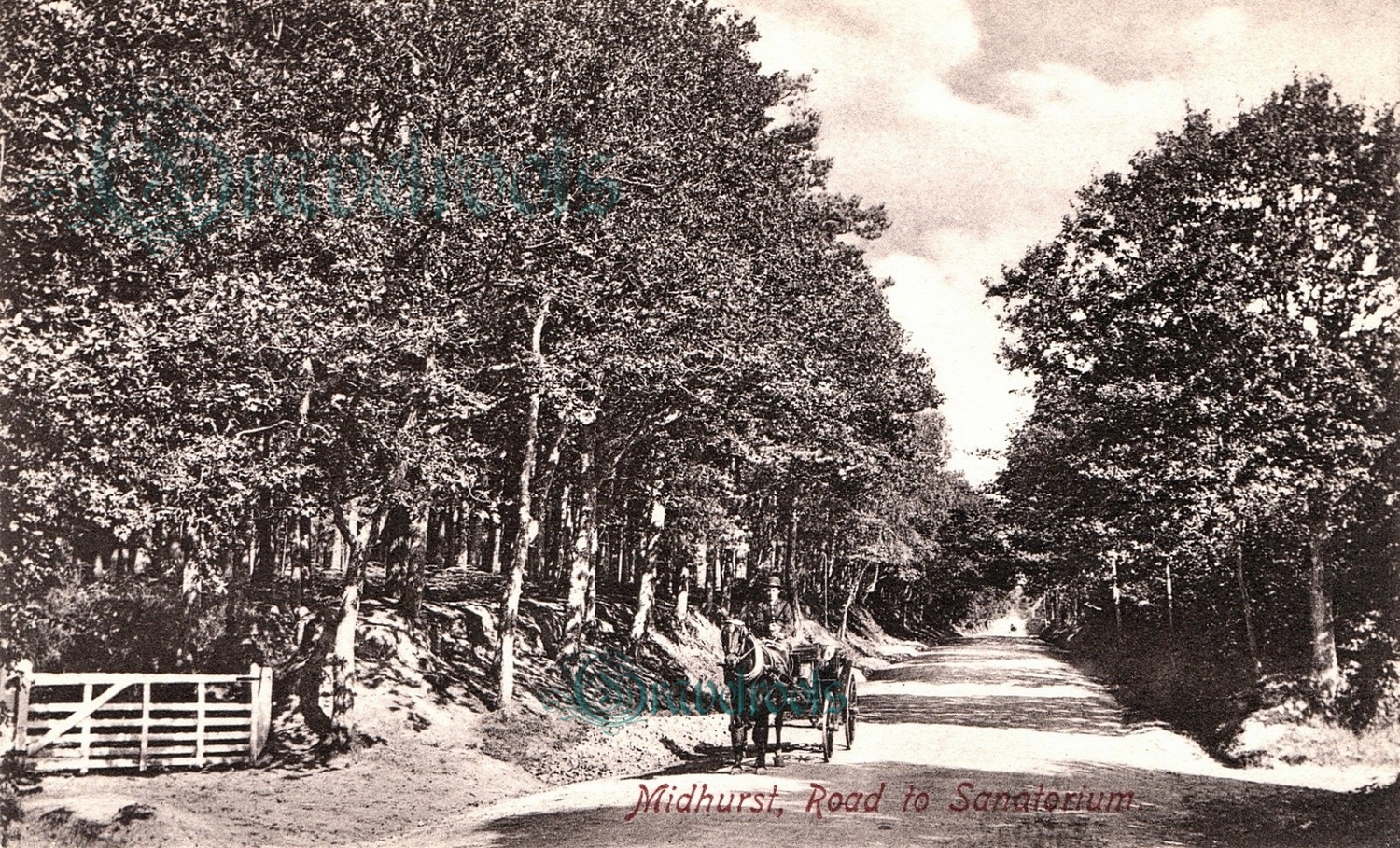 Sanatorium Road, Midhurst, Sussex - see below