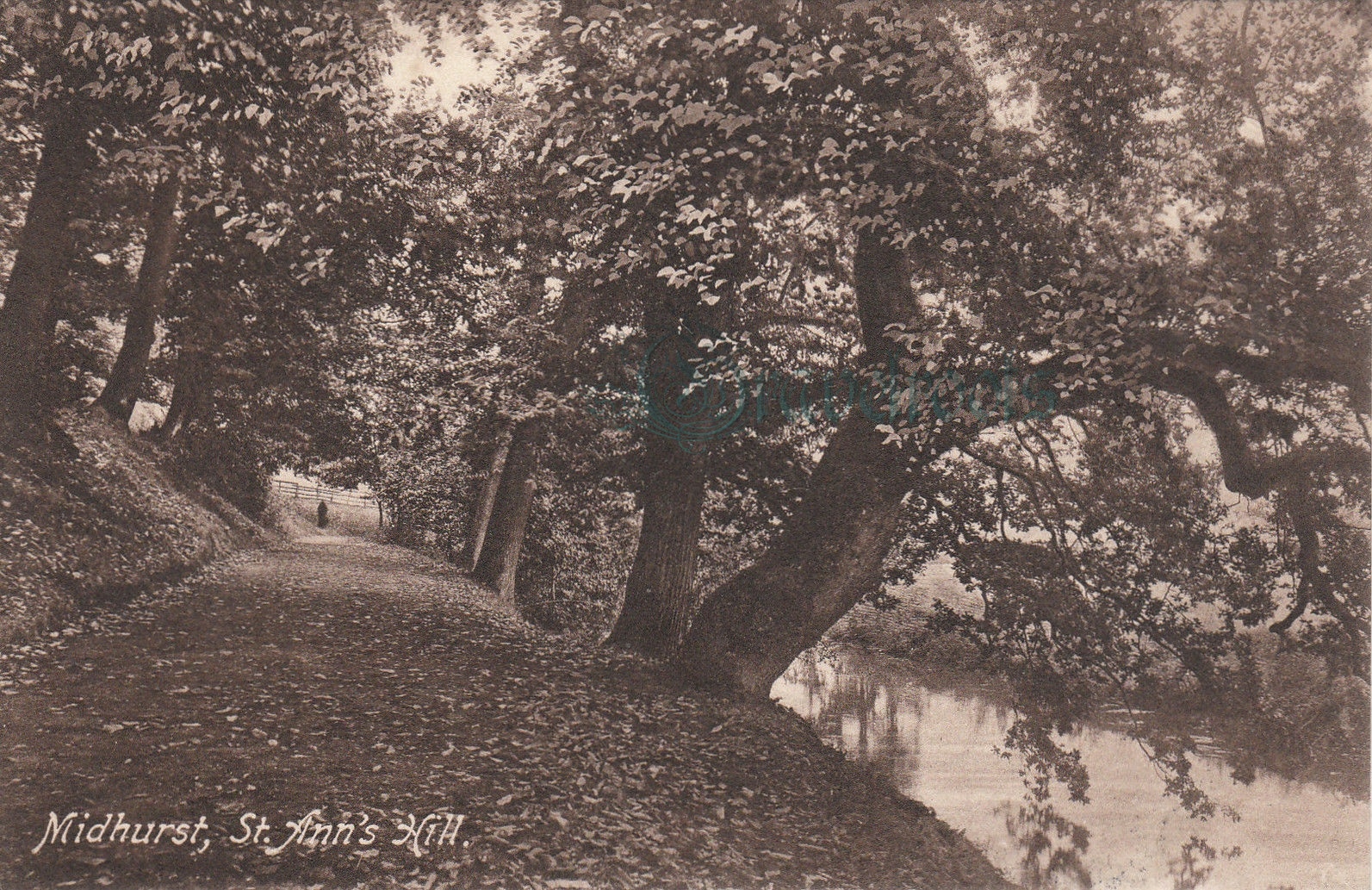 Midhurst, Sussex - click to return