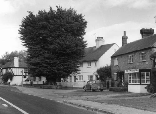 Northchapel