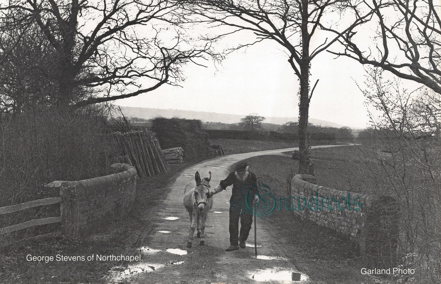 old photo of George StevensPipers Lane, Northchapel, Sussex - click image below to return