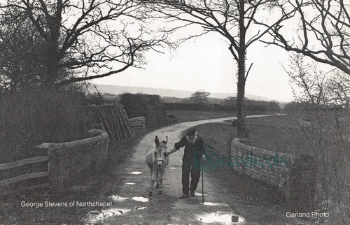Northchapel