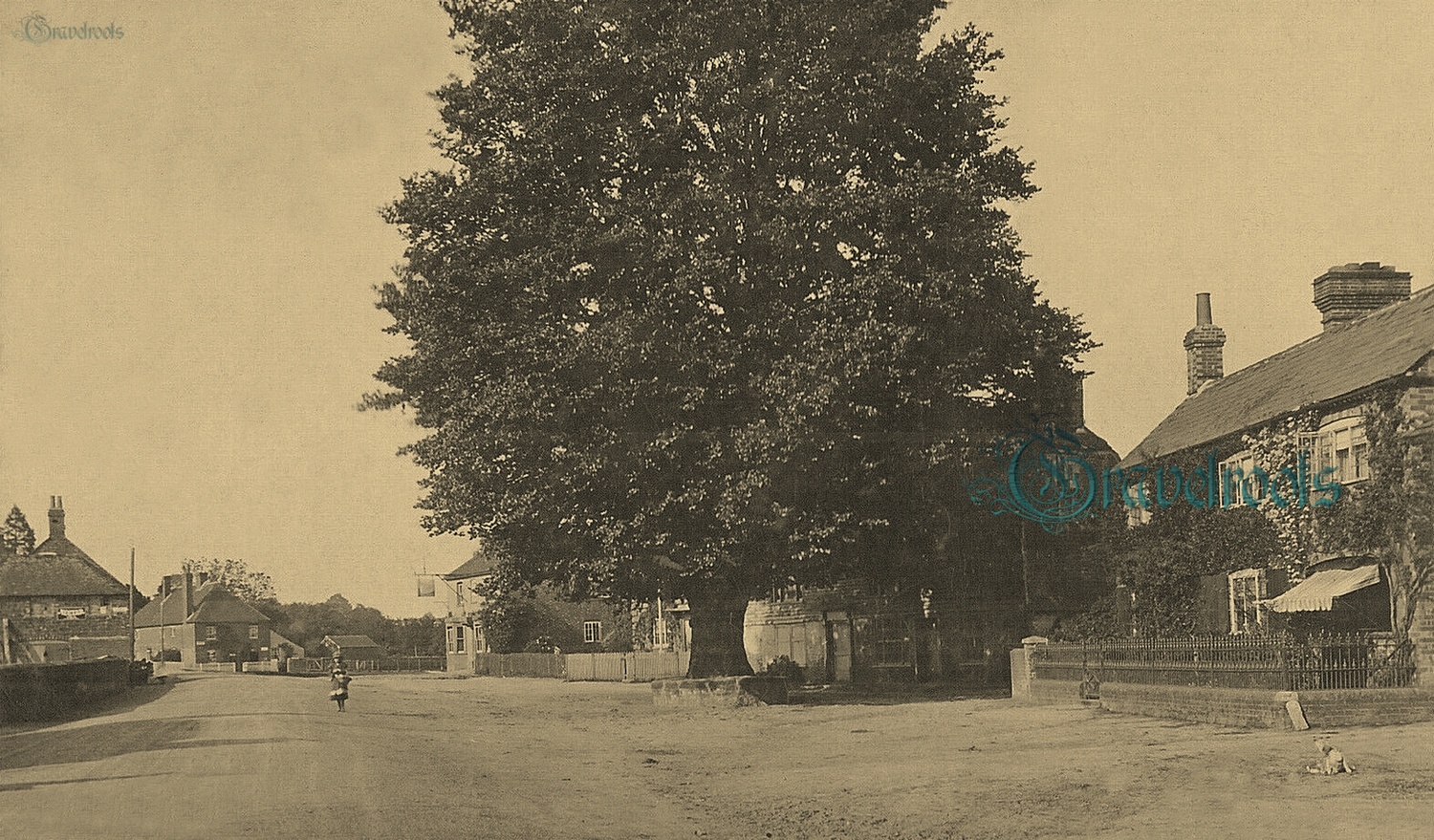  old photo of London Road, Northchapel, Sussex - click image below to return