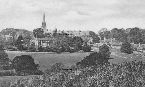 Petworth from the Gog
