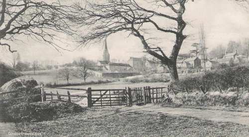 Rectory Meadows