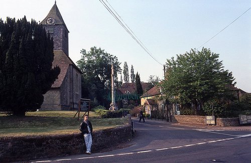 Rogate