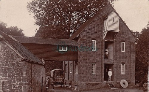 Stedham