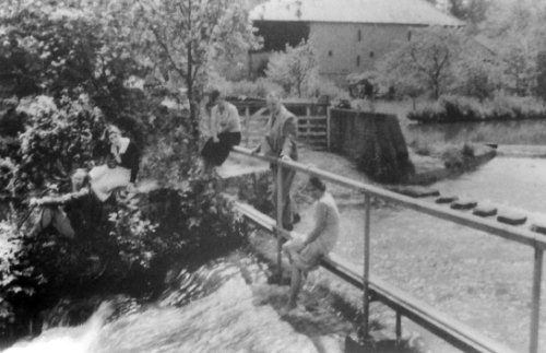 Stedham Mill
