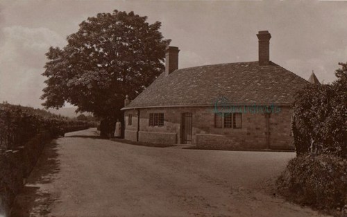 Stedham