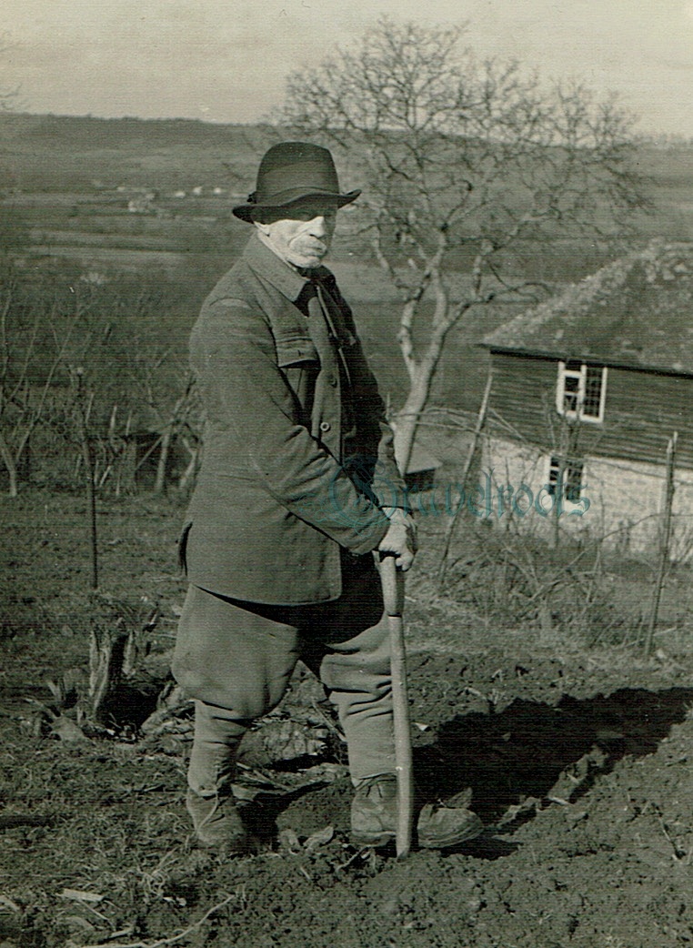 Stedham - Iping - click image to return