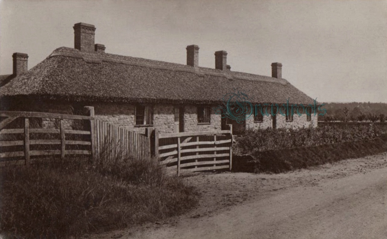 Stedham - Iping - click image to return