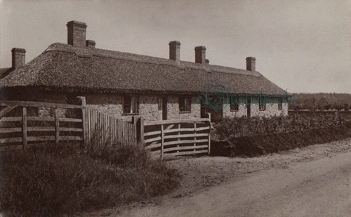 Stedham