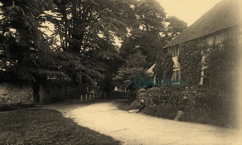 Stedham