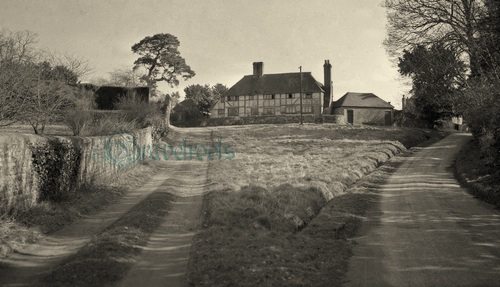Stedham