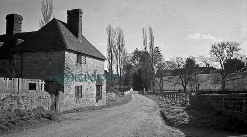 Stedham