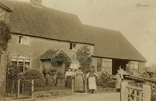 Stedham