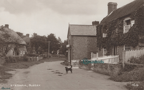 Stedham