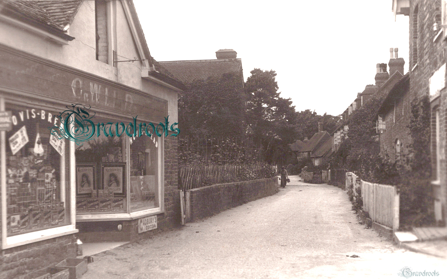 old photo of the Alley, Stedham, Sussex - click image below to return