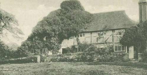 Stedham