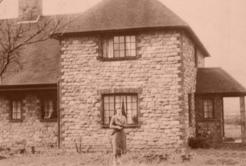 Stedham