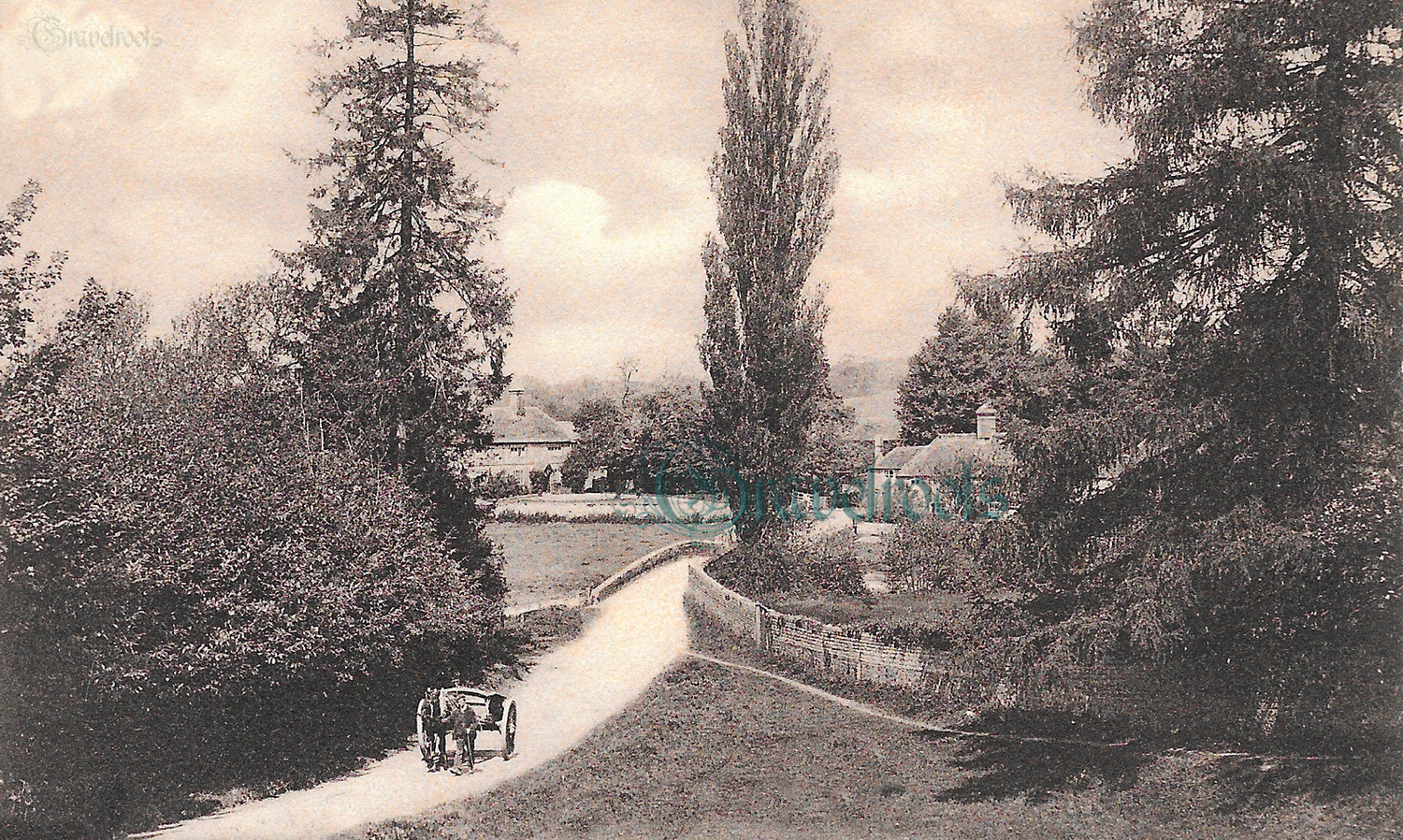 old photo of Stedham &  Iping, Sussex - click image to return