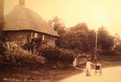 Stedham