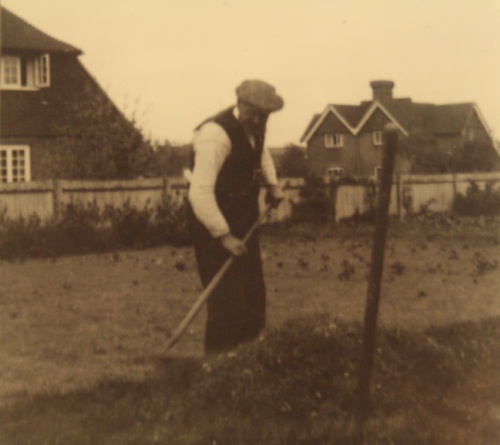 Stedham