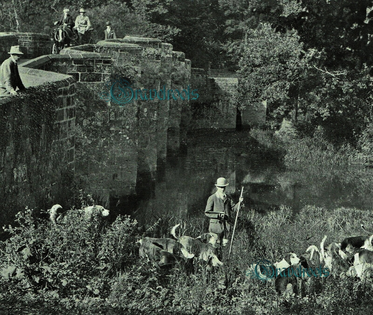 old photo of Otter Hounds at Stopham Bridge, Sussex - click image below to return