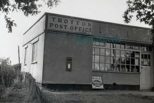 Trotton