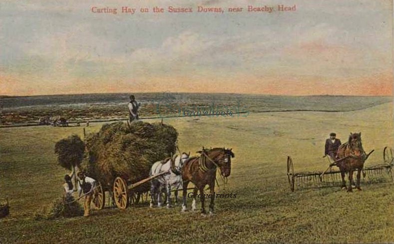 Sussex