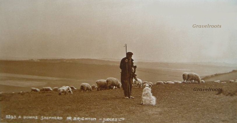 Sussex