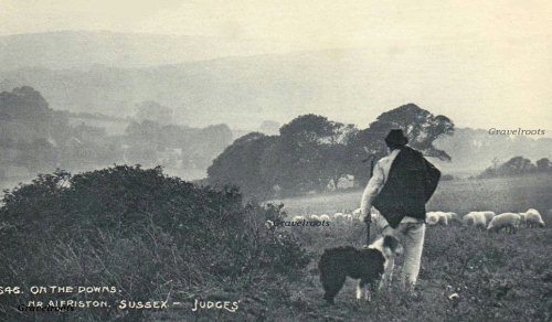 Sussex