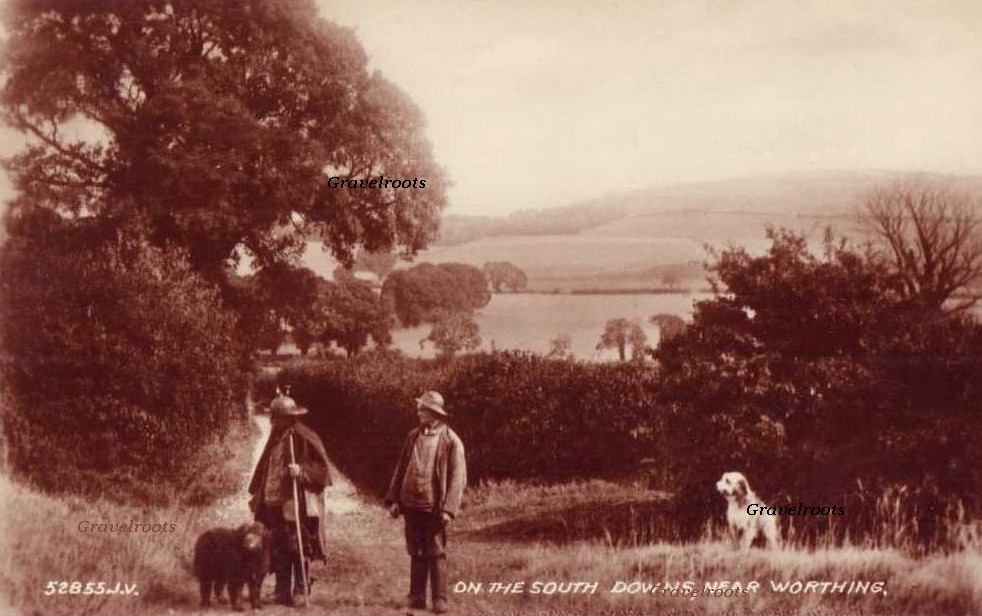 On the Downs 1906 - click to return