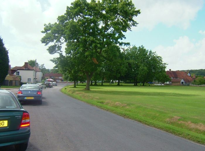 Village green