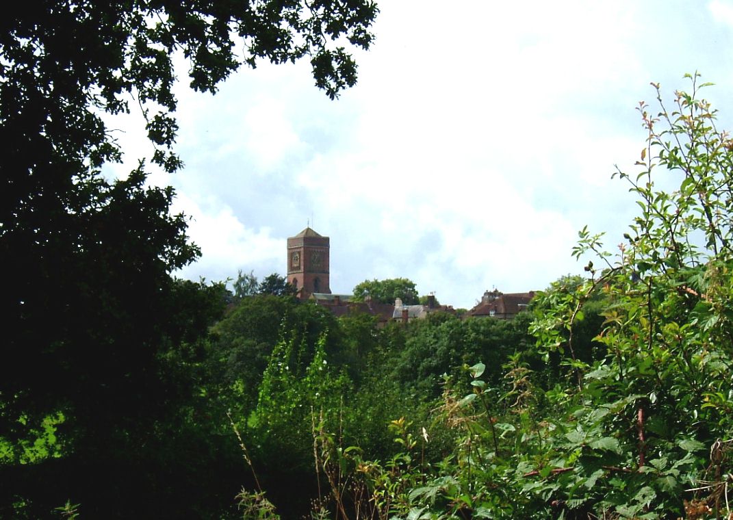 click image to return