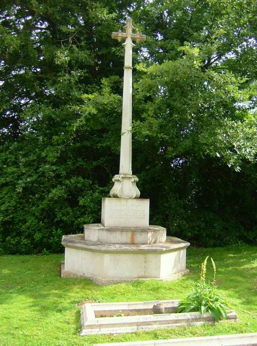 click image to return